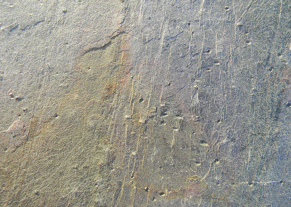 Burning Forest slate veneer close up