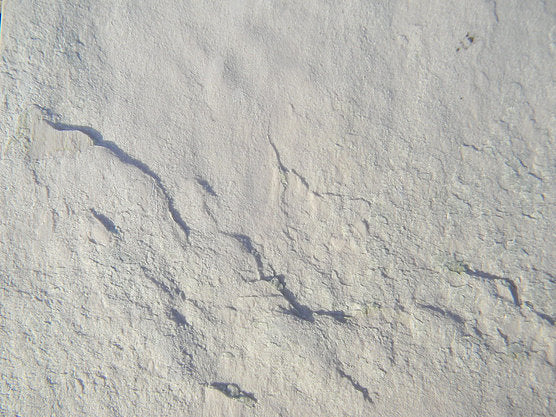 Ice Pearl limestone veneer close up