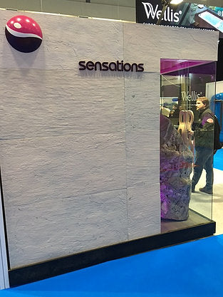 Ice Pearl limestone veneer feature wall