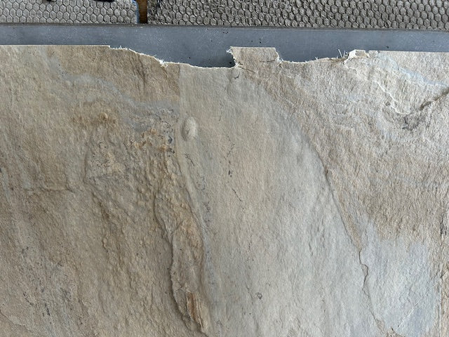 X1 Tan 240 x 120cm Slate Veneer Sheet (One damaged long end & split)