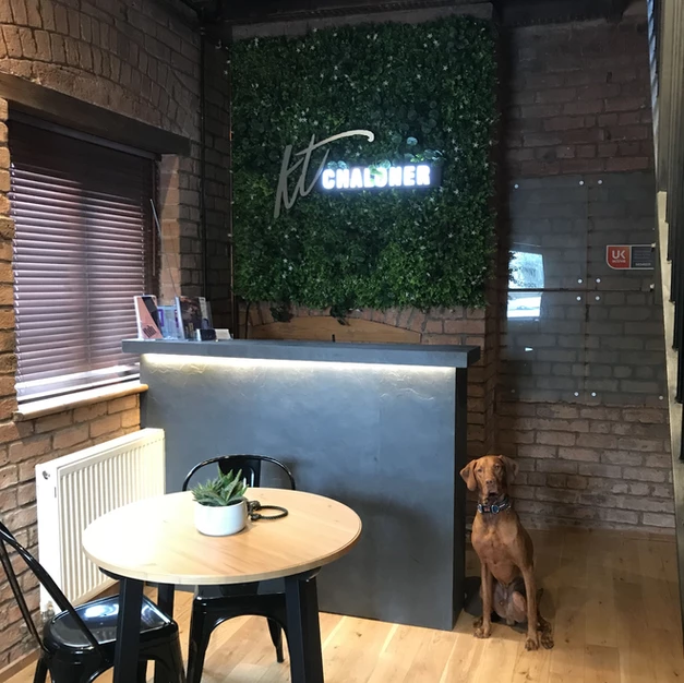 Nero slate veneer cladding on commercial counter