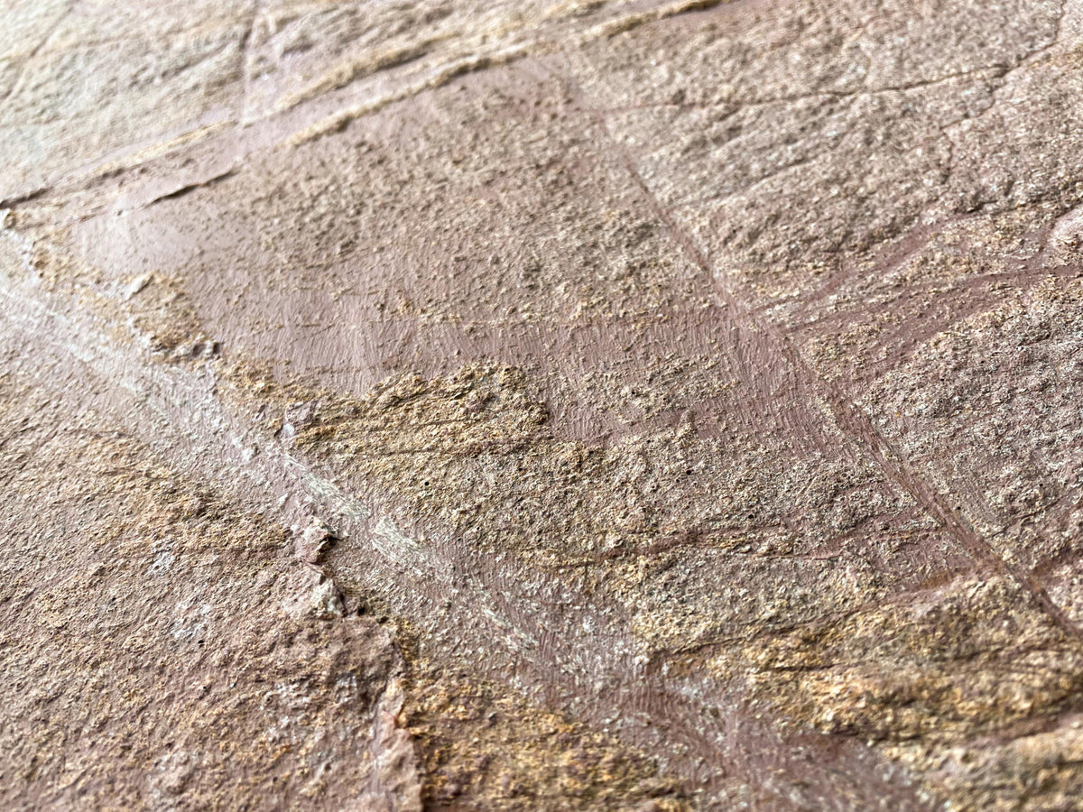 Rainforest Brown Marble Veneer Sheet