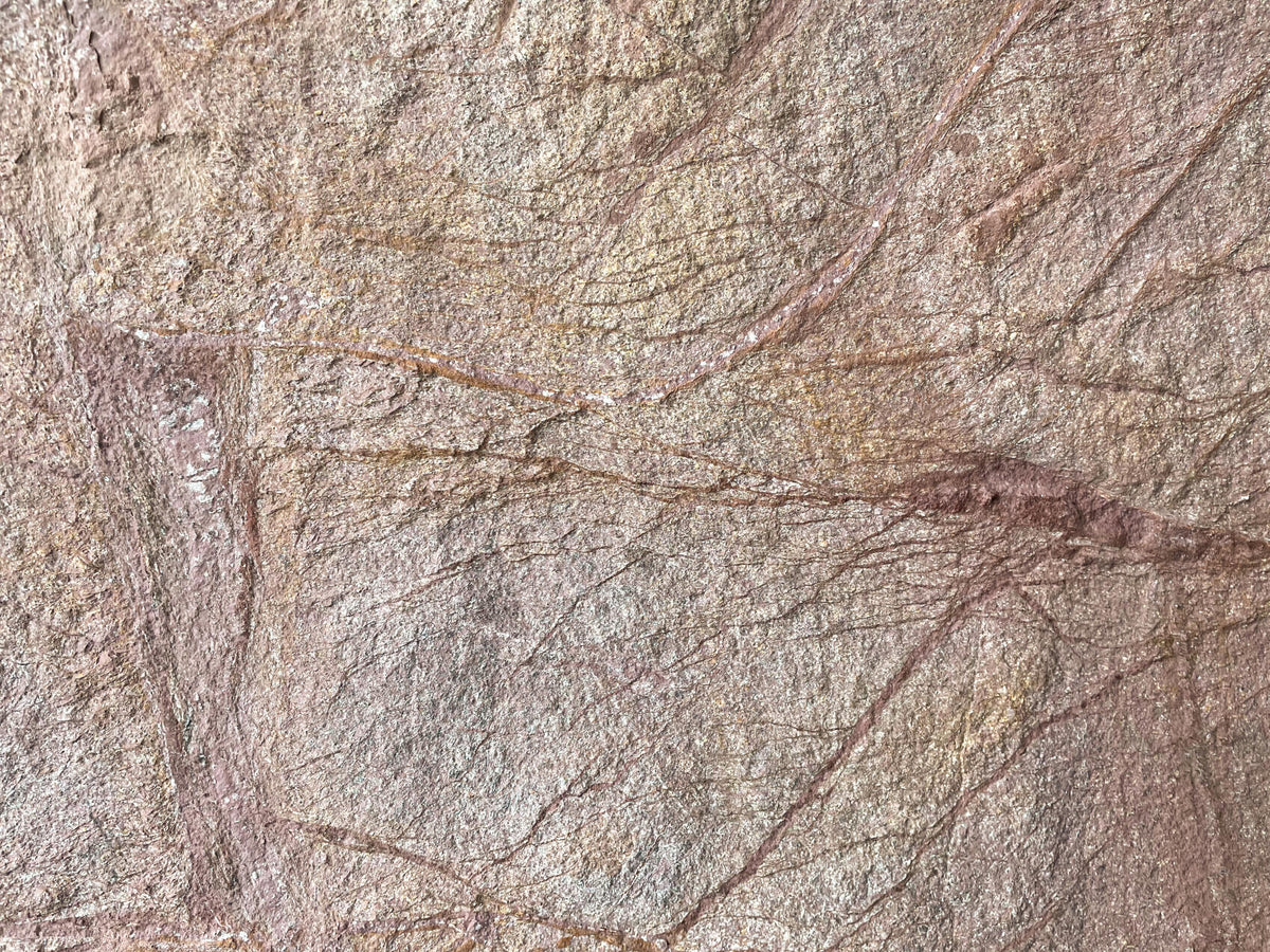 Rainforest Brown Marble Veneer Sheet
