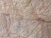 Rainforest Brown Marble Veneer Sheet