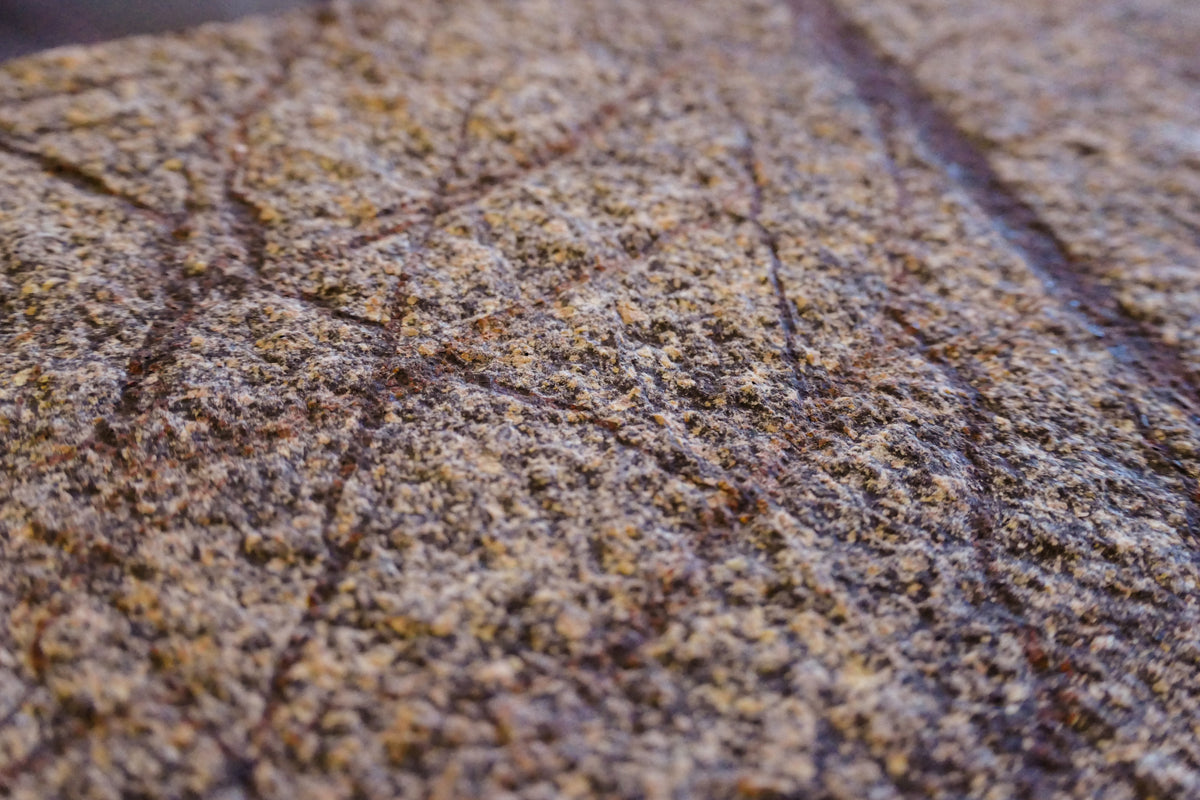 Rainforest Brown Marble Veneer Sheet