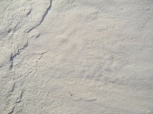 Ice Pearl limestone veneer close up