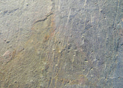 Burning Forest slate veneer close up
