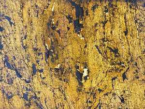 Caldera Gold translucent slate veneer with light behind 