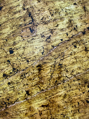 Caldera Gold translucent slate veneer with light behind